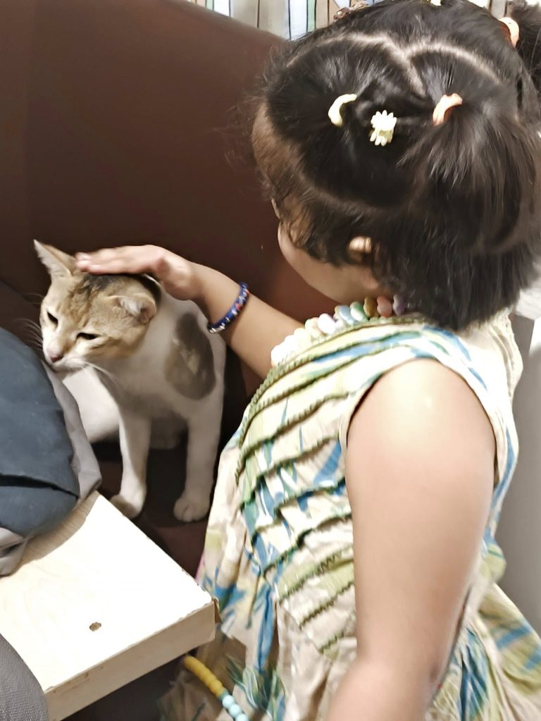 শিশু বুদ্ধিপ্রতিবন্ধী, কীভাবে বুঝবেন?
