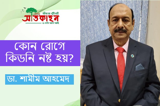 কোন রোগে কিডনি নষ্ট হয়?