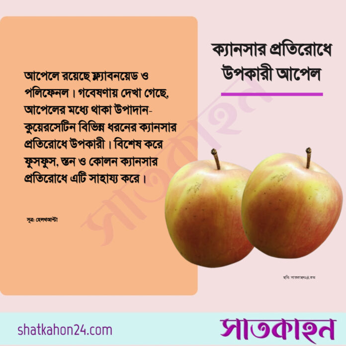 পোস্টকার্ড: সাতকাহন২৪.কম