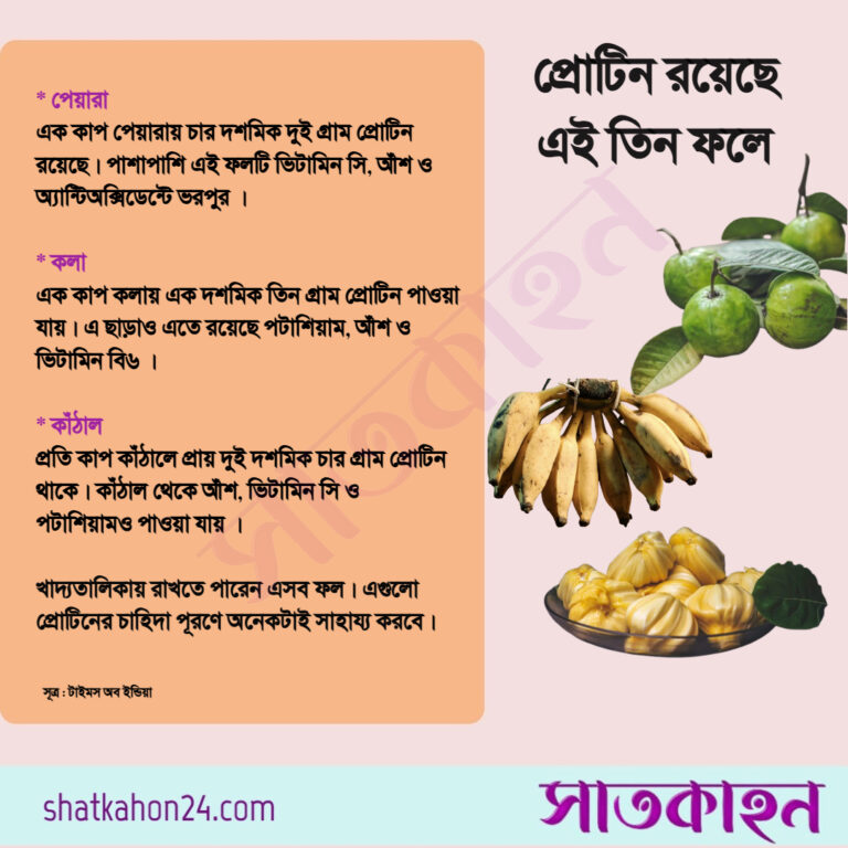 প্রোটিন রয়েছে এই তিন ফলে