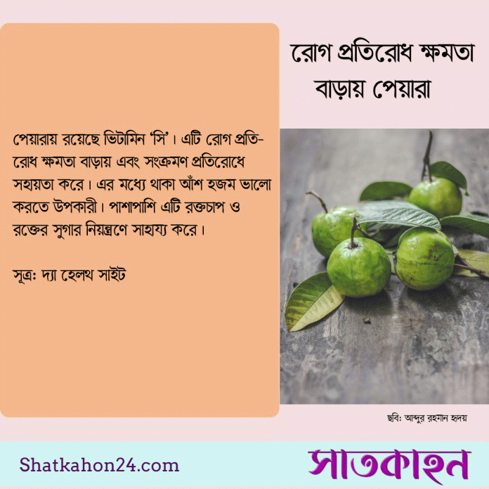 পোস্টার কার্ড: সাতকাহন২৪.কম